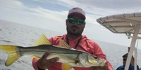 FG Charters LLC Tampa Bay Fishing Charters | 6HR Inshore Fishing fishing Inshore 