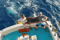 Hook'n Up Sportfishing 5-hour Florida Offshore Fishing Trip fishing Offshore 