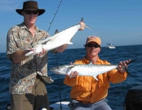 Lyons Charters Tampa Bay Fishing Charters fishing Flats 