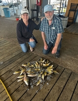 Lead Slingers Outdoor Fishing & Bowfishing Guide Yellow Bass Fishing fishing Lake 
