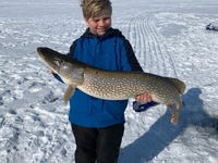 Musky & Pike Dreamers Ice Fishing Charter | 8-Hour Full Day Seasonal Ice Fishing Private Trip fishing Lake 