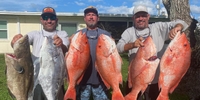 Down2Fish Charters Tampa Bay Charter Fishing | Red Snapper Shared Fishing Trip fishing Offshore 