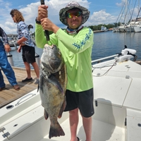 Kings Fishing Charters Pensacola Bowfishing/giging Charter fishing Inshore 