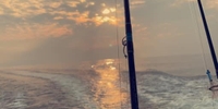 Kings Fishing Charters Dolphin Cruise Pensacola  fishing Inshore 