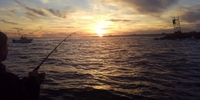 MM Charters Fishing Charters Englewood FL | Sunset Tours ( Customizable Trip ) fishing Offshore 