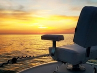 MM Charters Dolphin Tour Englewood FL | Up to 6 People tours Cruise 