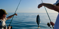 MM Charters Charter Fishing in Englewood, Florida | 4 or 8 Hour Charter Trip Max of 4 Persons fishing Inshore 