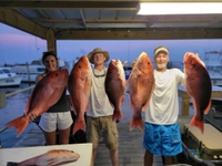 Six Shooter Charters Half day Trip - Destin, FL fishing Inshore 