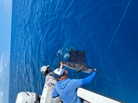 Down Low Sportfishing Fishing Charters in Key West | Full Day Fishing Charter fishing Offshore 