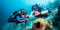 Scalloping & Tours with Seadaddys Dive Center Crystal River FL Scuba Diving | Skill Training Diving Class  water_sports Scuba Diving 