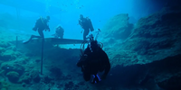 Scalloping & Tours with Seadaddys Dive Center Crystal River Florida Scuba Diving | Blue Grotto Diving Tour  water_sports Scuba Diving 