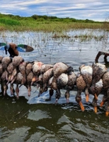 Russell & Sons Outdoors Duck Hunting Port Aransas | 5 Hour Hunting Trip hunting Bird hunting 