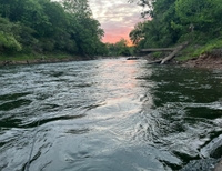 Southern Sun Guides Roanoke River Catfishing Trip - Weldon, NC fishing River 