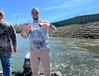 Southern Sun Guides Half Day Fishing Trip (PM) - Weldon, NC fishing River 