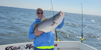 Ditch Hag Sportfishing Charters Fishing Charters Baltimore | 6 Hour Charter Trip  fishing Inshore 