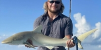 TruBlue Charters 4-Hour Shark Fishing Trip - Key Largo, FL fishing Inshore 
