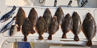 Running Tide Charters Fishing Charter Ocean City Maryland | 8 Hours Ocean Flounder Fishing Trip fishing Inshore 