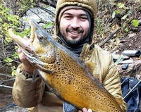 CT Pin Fishing Guide Service Discover the Ultimate Pin Fishing Experience in Farmington River, CT! fishing River 