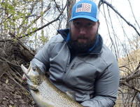 CT Pin Fishing Guide Service Discover the Thrill of Guided Fishing in Farmington River fishing River 