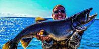 Slaunch Donkey Lake Simcoe Charter Fishing | 5 To 6 Hour Charter Trip  fishing Lake 
