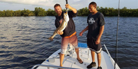 Inland Fishing Charters New Smyrna Beach Fishing Charters | 3- Hours  fishing Inshore 