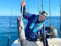 Salty Tide Charters Half Day Fishing Trip in Charleston, SC fishing Wrecks 