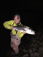 Farmington River Trading Company Bloomfield, CT Mouse Fly / Night fishing fishing River 
