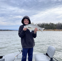 Cherokee Lake Fishing Charter Cherokee Lake TN Fishing | 8 Hour Charter Trip  ( Balance Due In Cash)  fishing Lake 