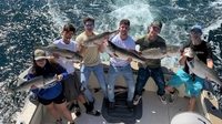 Osprey Sportfishing Charters Fishing Charters in Connecticut fishing Inshore 