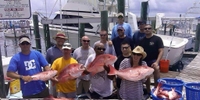 Native Son's Charters  Pensacola FL Fishing Charters (CALL FOR AVAILABILITY) fishing Wrecks 