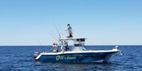 Destin Gills for Thrills Destin Florida Fishing fishing Offshore 