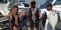 Carolann P Fishing Charters Freeport NY Fishing | 4 Hour Charter Trip  fishing Inshore 