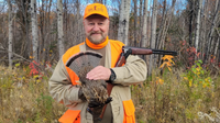 Maine Upland Guide Service Guided Grouse and Woodcock Hunt - Full Day hunting Bird hunting 