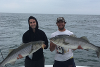 Push the Limit Sportfishing Inshore Trip - Montauk fishing Inshore 