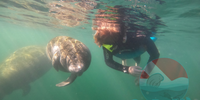 Nature's Adventure Center Crystal River Swim With Manatees | Private Manatee Tour Explore  water_sports Snorkeling 