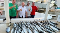 Pelagic Pirate Charters 4 Hour Reefs and Wrecks Fishing - Miami, FL fishing Wrecks 