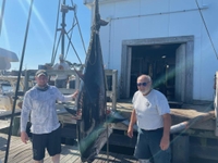 Tuna Tail Charters Fishing Charters Gloucester Massachusetts fishing Offshore 