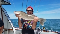Eye-Catcher Charter Walleye or Perch Fishing Trip - Weekdays fishing Inshore 