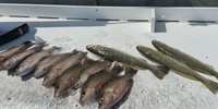 Charters N Paradise Private 5-Hour Saturday Fishing Special fishing Flats 