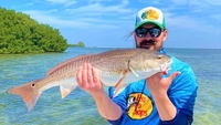 Somewhere South Fishing Charters Discover the Coast of St. Petersburg on a 6-Hour Inshore Fishing Trip fishing Inshore 