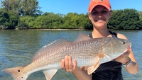 Somewhere South Fishing Charters Explore Prime Natural Wonders of Tampa Bay in 4 Hours fishing Inshore 