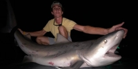 Triplethreatfishingcharters@gmail.com Uncover the Magic of Nighttime Inshore Fishing in Tampa Bay fishing Inshore 