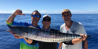 Fathom Charters Rincon Puerto Rico Fishing | Private - 10 Hour Offshore Trip fishing Offshore 