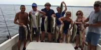 Safari Girl Charters Chesapeake Fishing Charters | Private 6 Hour Half Day Trip PM fishing Inshore 