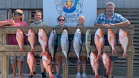 Blue Rush Charters Corpus Christi Deep Sea Fishing Charters | 8-Hour Fishing Adventure for all! Offshore Fishing Fun! fishing Offshore 