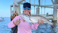 Sea Dawg Charter Fishing Charters Dauphin Island Alabama fishing Inshore 
