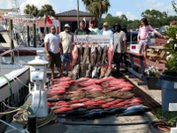 Reel Commocean Fishing Charters Fishing Charters in Panama City Beach | Private 6 Hour Peak Season Charter (Seasonal) fishing Offshore 