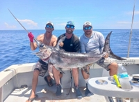 Pelagic Raptors Charters Private 4 Hour Reef or Bottom Fishing Trip fishing Wrecks 