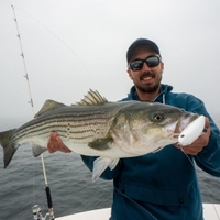 Cape Cod Offshore Striped Bass "On the Fly" Charter - Atlantic, Ocean fishing Offshore 