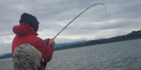 Out Fishin Astoria Fishing Charter | 8 Hour Rockfish Fishing Trip fishing Inshore 